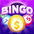 bingo-cash-promo-code