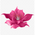 flowers-station-coupon-code