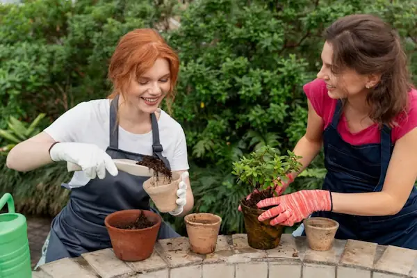 expert-opinion-on-gardening-and-plant-care