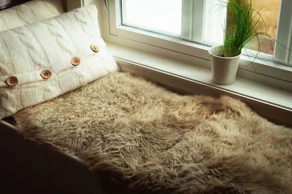 rugs-and-area-rugs