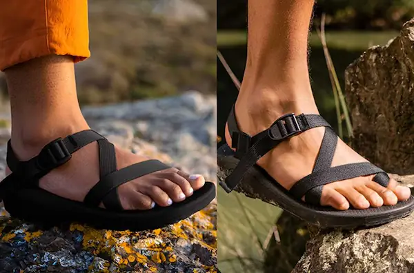 no-toe-loop-vs-toe-loop