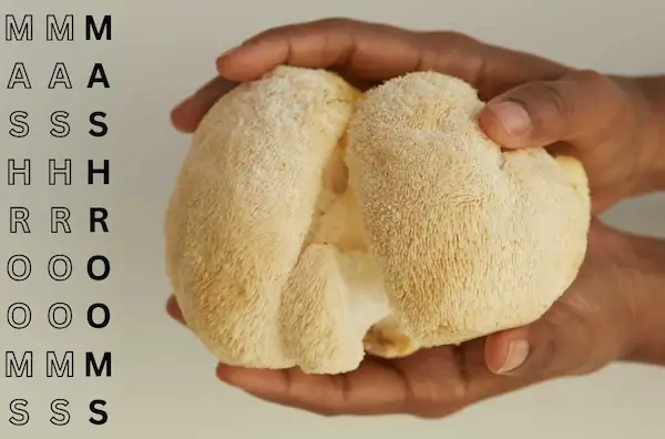 the-functional-mushroom-advantage