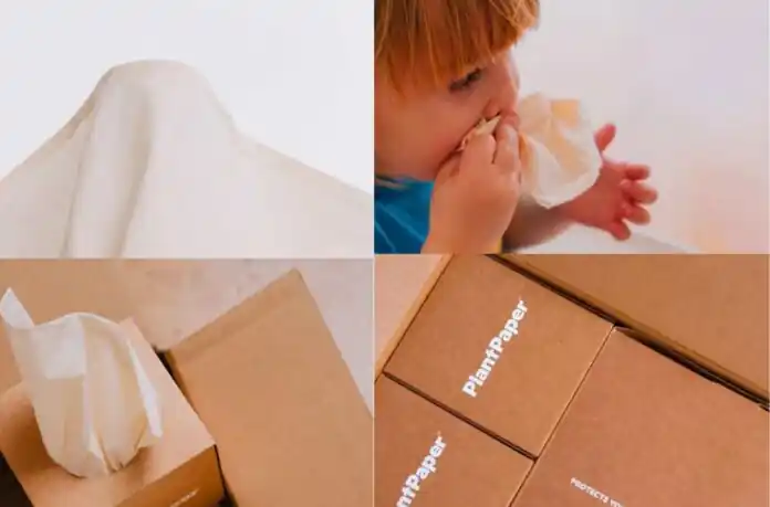 plantpaper-facial-tissue